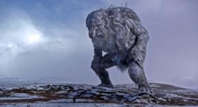 Troll Hunter